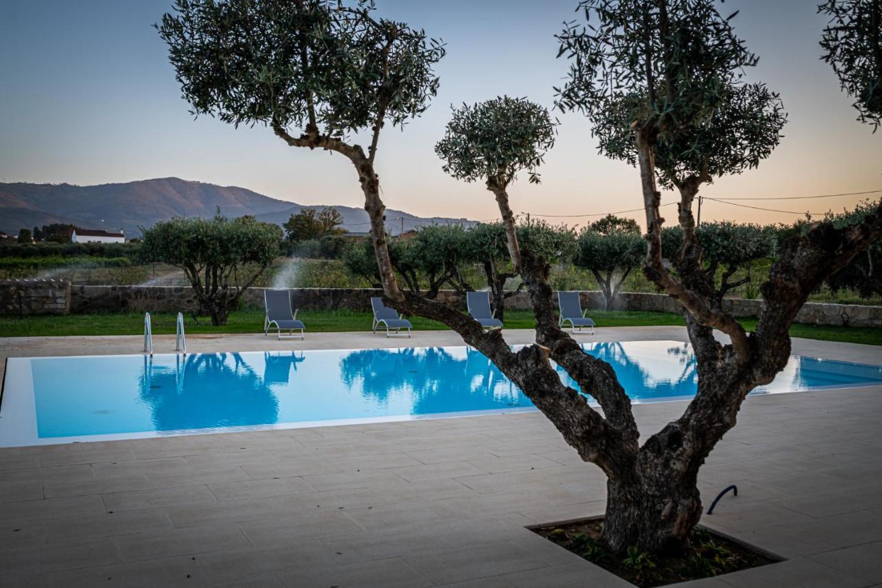 Quinta Das Oliveiras Turismo Rural Fundao Ngoại thất bức ảnh