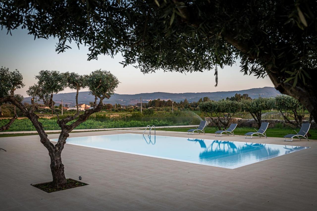 Quinta Das Oliveiras Turismo Rural Fundao Ngoại thất bức ảnh