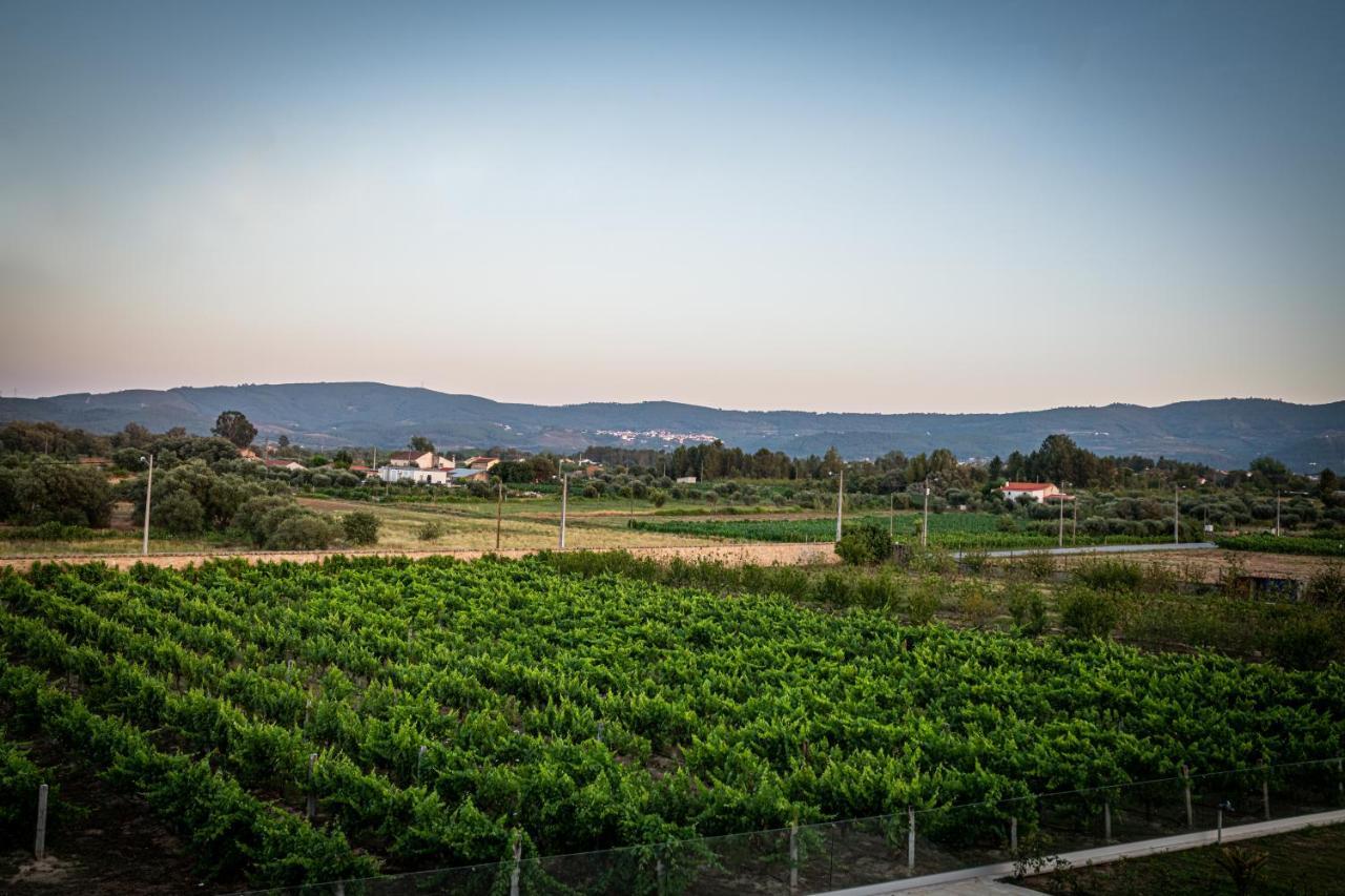 Quinta Das Oliveiras Turismo Rural Fundao Ngoại thất bức ảnh
