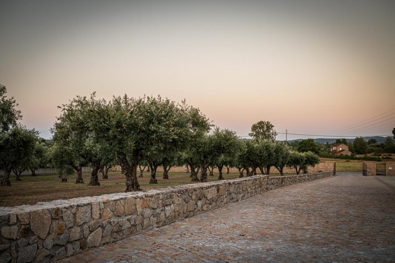 Quinta Das Oliveiras Turismo Rural Fundao Ngoại thất bức ảnh