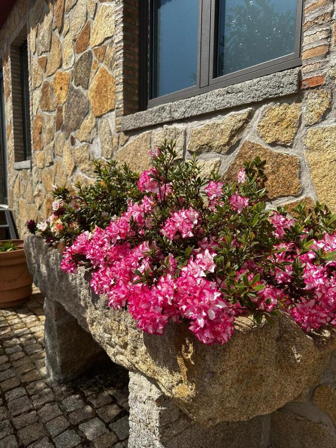 Quinta Das Oliveiras Turismo Rural Fundao Ngoại thất bức ảnh